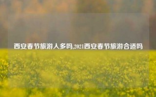 西安春节旅游人多吗,2021西安春节旅游合适吗