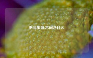 木间旅游,木间念什么