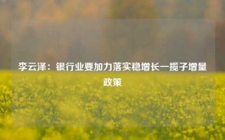 李云泽：银行业要加力落实稳增长一揽子增量政策