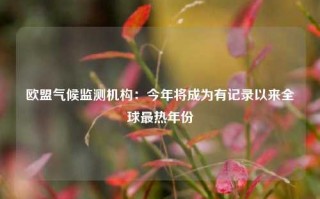 欧盟气候监测机构：今年将成为有记录以来全球最热年份