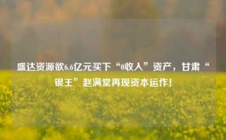 盛达资源欲6.6亿元买下“0收入”资产，甘肃“银王”赵满堂再现资本运作！