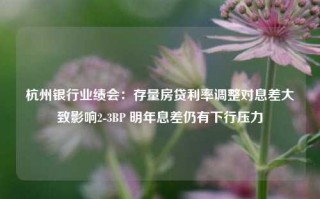 杭州银行业绩会：存量房贷利率调整对息差大致影响2-3BP 明年息差仍有下行压力