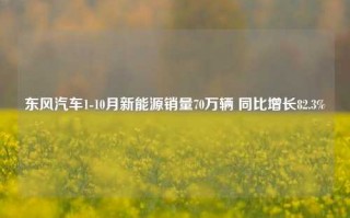 东风汽车1-10月新能源销量70万辆 同比增长82.3%