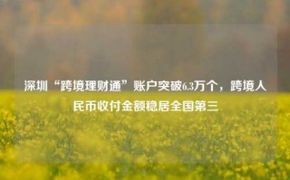 深圳“跨境理财通”账户突破6.3万个，跨境人民币收付金额稳居全国第三