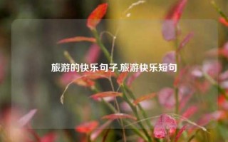 旅游的快乐句子,旅游快乐短句