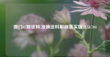 澳门47期资料,准确资料解释落实版58.58.704