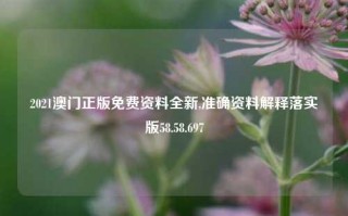 2021澳门正版免费资料全新,准确资料解释落实版58.58.697