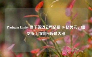 Platinum Equity 旗下英迈公司估值 60 亿美元，纽交所上市首日股价大涨