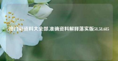 澳门彩资料大全部,准确资料解释落实版58.58.685