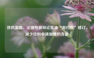 效仿英国，法国预算辩论批准“苏打税”修订，减少饮料中添加糖的含量