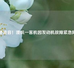 又是波音！澳航一客机因发动机故障紧急降落