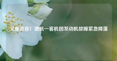 又是波音！澳航一客机因发动机故障紧急降落