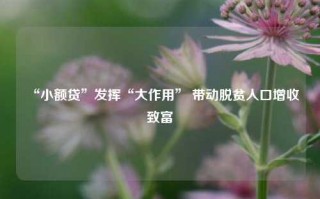 “小额贷”发挥“大作用” 带动脱贫人口增收致富