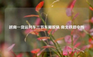 越南一货运列车三节车厢脱轨 南北铁路中断