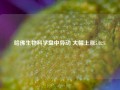 哈佛生物科学盘中异动 大幅上涨5.02%