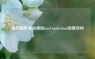 龟岛旅游,龟岛酒店hotel turtleisland百度百科