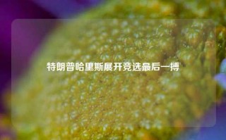 特朗普哈里斯展开竞选最后一搏