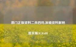 澳门正版资料二肖四码,准确资料解释落实版58.58.688