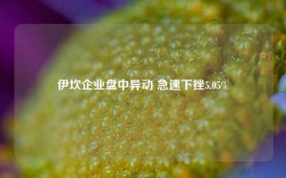 伊坎企业盘中异动 急速下挫5.05%