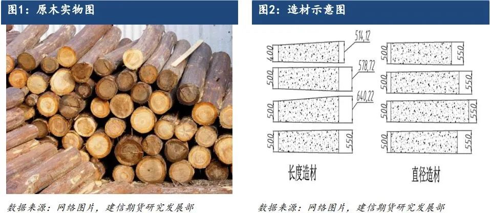 原木期货上市系列专题一：原木基础知识及产业链格局-第2张图片-贸易