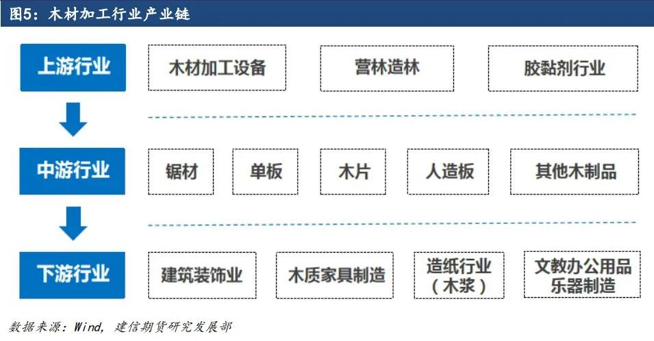 原木期货上市系列专题一：原木基础知识及产业链格局-第5张图片-贸易