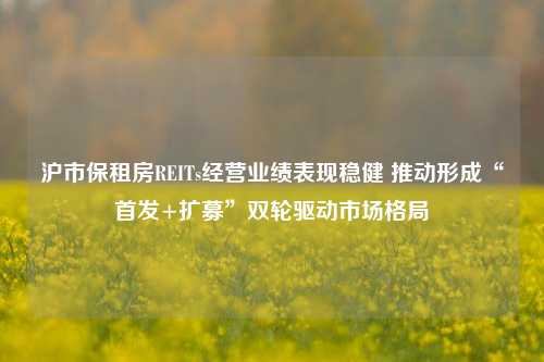 沪市保租房REITs经营业绩表现稳健 推动形成“首发+扩募”双轮驱动市场格局-第1张图片-贸易