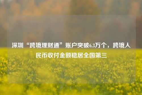 深圳“跨境理财通”账户突破6.3万个，跨境人民币收付金额稳居全国第三-第1张图片-贸易