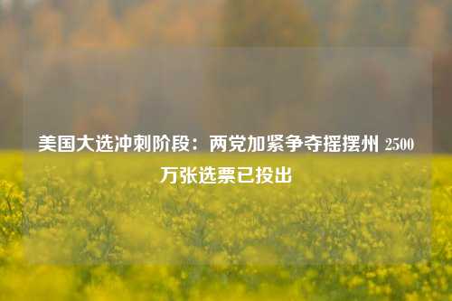 美国大选冲刺阶段：两党加紧争夺摇摆州 2500万张选票已投出-第1张图片-贸易