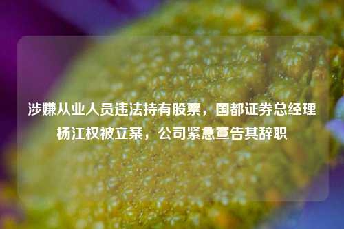 涉嫌从业人员违法持有股票，国都证券总经理杨江权被立案，公司紧急宣告其辞职-第1张图片-贸易