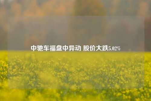 中驰车福盘中异动 股价大跌5.02%-第1张图片-贸易