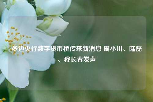 多边央行数字货币桥传来新消息 周小川、陆磊、穆长春发声-第1张图片-贸易