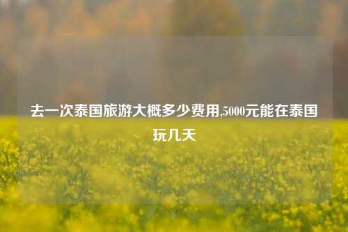 去一次泰国旅游大概多少费用,5000元能在泰国玩几天-第1张图片-贸易