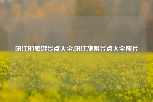 阳江的旅游景点大全,阳江旅游景点大全图片-第1张图片-贸易