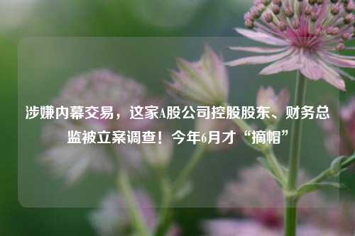 涉嫌内幕交易，这家A股公司控股股东、财务总监被立案调查！今年6月才“摘帽”-第1张图片-贸易