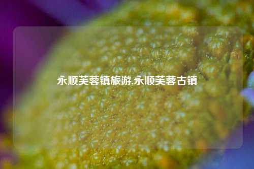 永顺芙蓉镇旅游,永顺芙蓉古镇-第1张图片-贸易