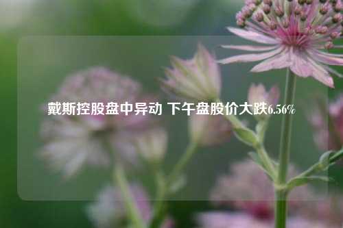 戴斯控股盘中异动 下午盘股价大跌6.56%-第1张图片-贸易