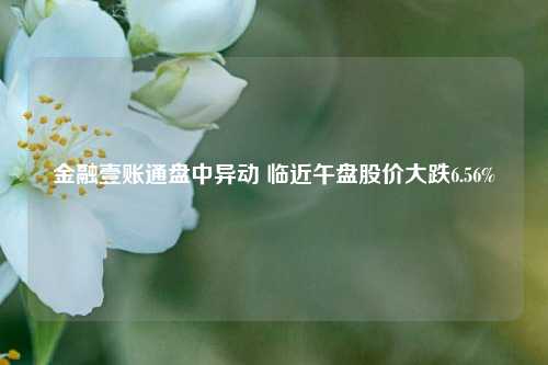 金融壹账通盘中异动 临近午盘股价大跌6.56%-第1张图片-贸易