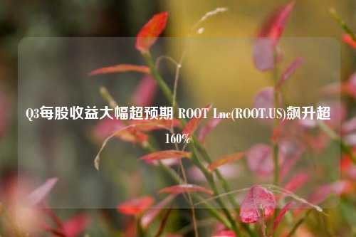 Q3每股收益大幅超预期 ROOT Lnc(ROOT.US)飙升超160%-第1张图片-贸易