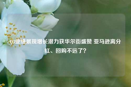 Q3业绩展现增长潜力获华尔街盛赞 亚马逊离分红、回购不远了？-第1张图片-贸易