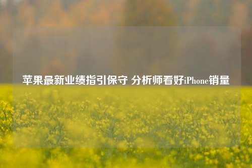 苹果最新业绩指引保守 分析师看好iPhone销量-第1张图片-贸易