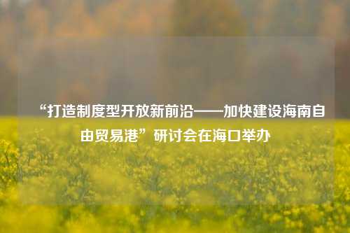 “打造制度型开放新前沿——加快建设海南自由贸易港”研讨会在海口举办-第1张图片-贸易