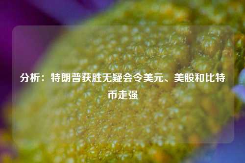 分析：特朗普获胜无疑会令美元、美股和比特币走强-第1张图片-贸易