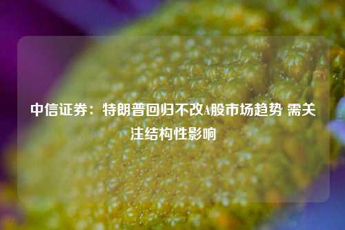 中信证券：特朗普回归不改A股市场趋势 需关注结构性影响-第1张图片-贸易