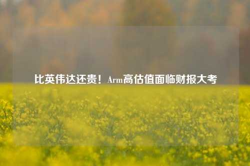 比英伟达还贵！Arm高估值面临财报大考-第1张图片-贸易