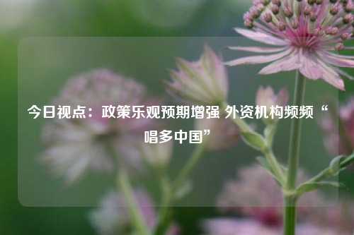 今日视点：政策乐观预期增强 外资机构频频“唱多中国”-第1张图片-贸易