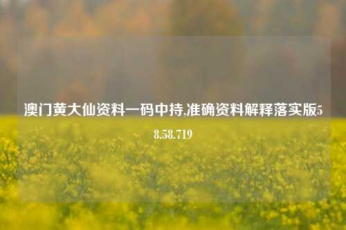 澳门黄大仙资料一码中持,准确资料解释落实版58.58.719-第1张图片-贸易