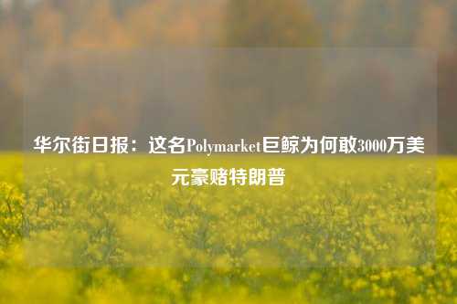 华尔街日报：这名Polymarket巨鲸为何敢3000万美元豪赌特朗普-第1张图片-贸易