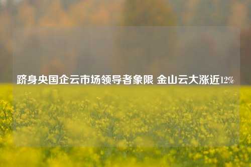 跻身央国企云市场领导者象限 金山云大涨近12%-第1张图片-贸易