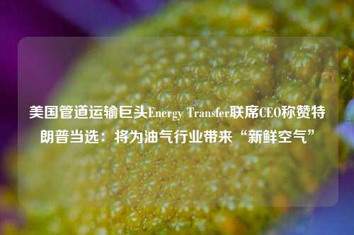 美国管道运输巨头Energy Transfer联席CEO称赞特朗普当选：将为油气行业带来“新鲜空气”-第1张图片-贸易