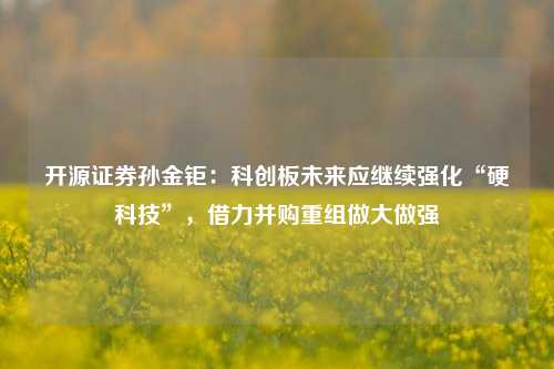 开源证券孙金钜：科创板未来应继续强化“硬科技”，借力并购重组做大做强-第1张图片-贸易